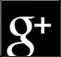 google+ button